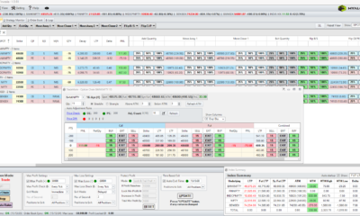 TradeMate (TradeFlow) options trading tool